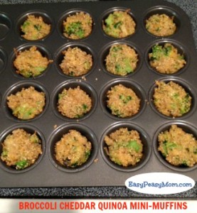 Broccoli Cheddar Quinoa Mini-Muffins